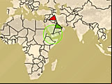 Globetrotter